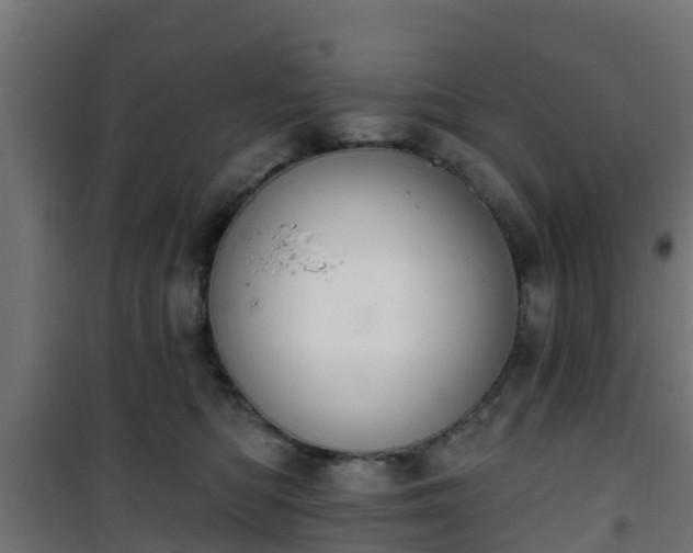 X0000101400422200807141201