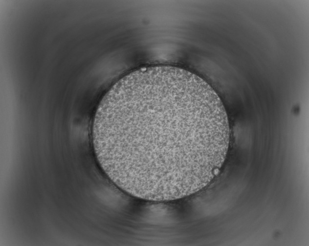 X0000101400423200807141201