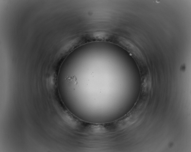 X0000101400424200807141201