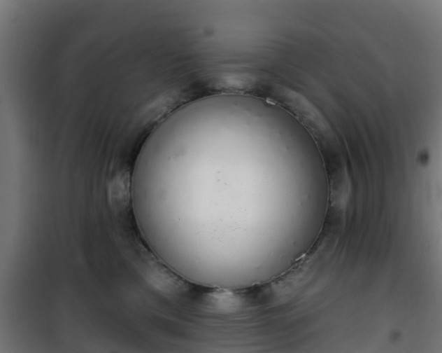 X0000101400425200807141201