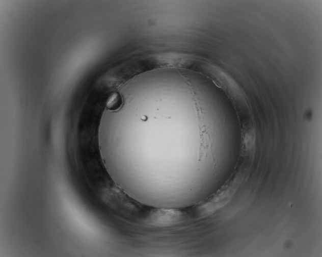 X0000101400429200807141201