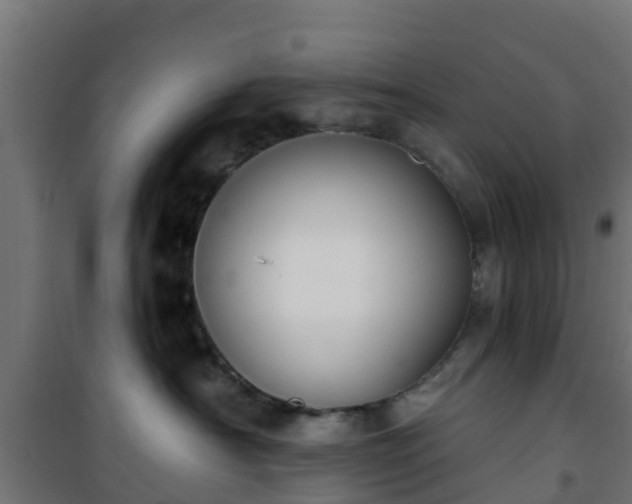 X0000101400430200807141201