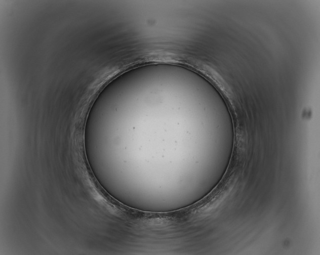 X0000101400433200807141200