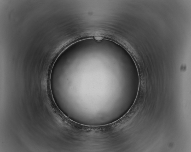 X0000101400434200807141200