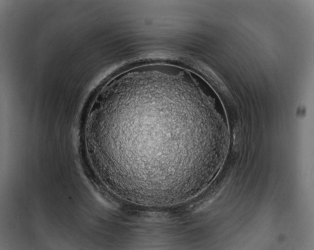 X0000101400436200807141200