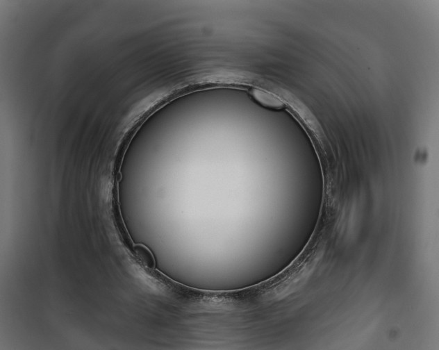 X0000101400437200807141200