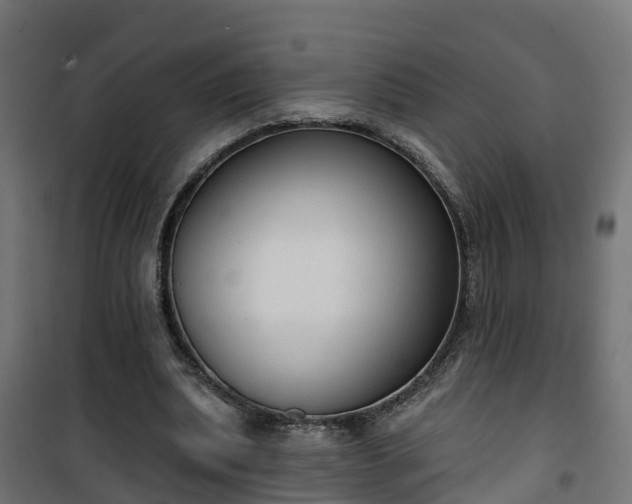 X0000101400439200807141200