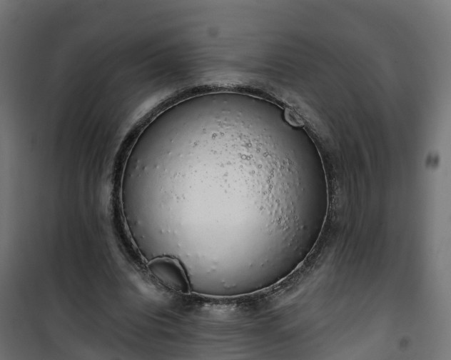 X0000101400440200807141200