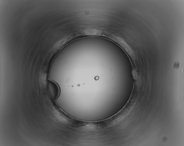 X0000101400441200807141200