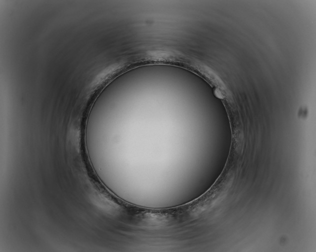 X0000101400442200807141200