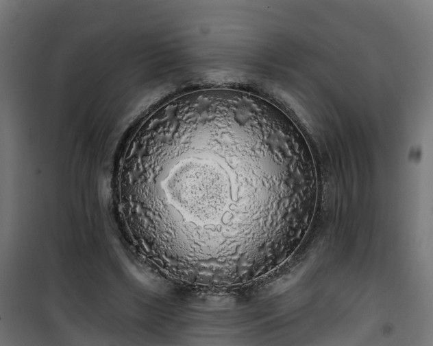 X0000101400443200807141200