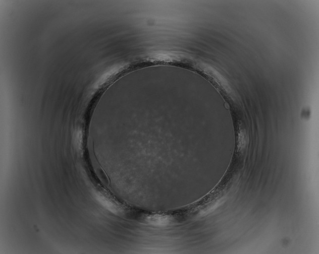 X0000101400444200807141200