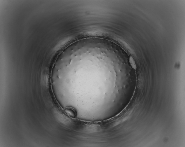 X0000101400446200807141200