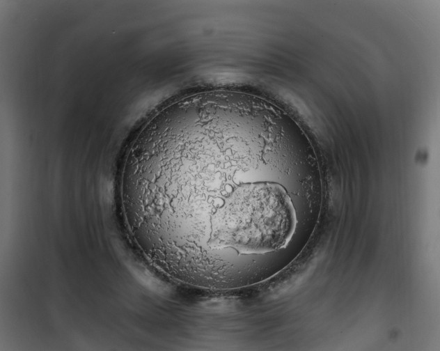 X0000101400447200807141200