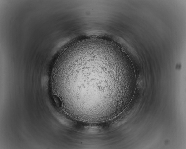 X0000101400448200807141200