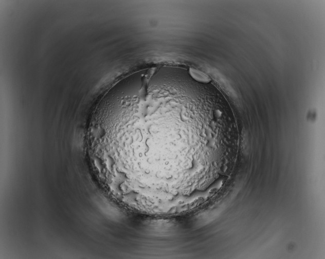 X0000101400449200807141200