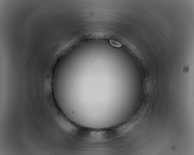 X0000101400450200807141200