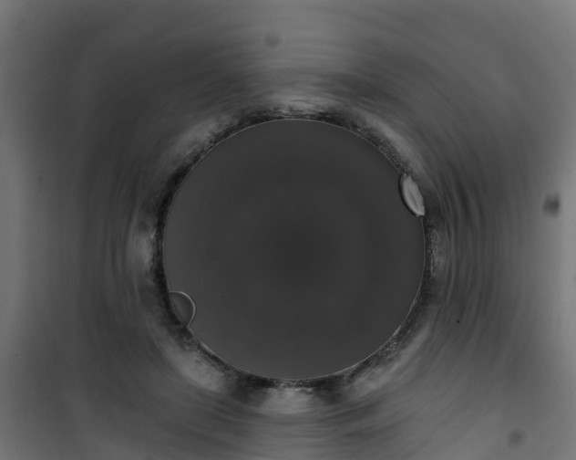 X0000101400451200807141201