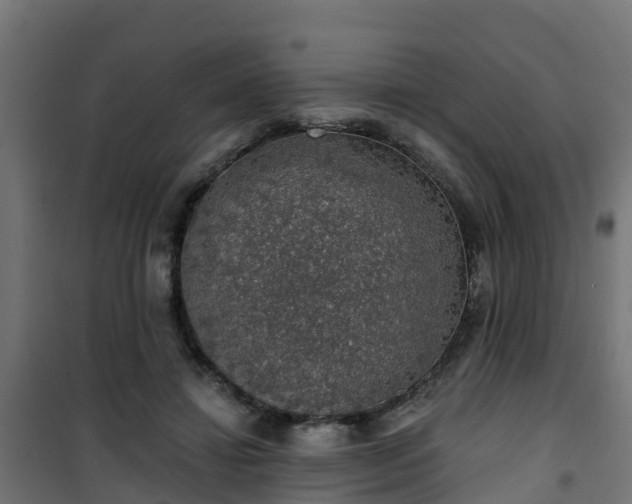 X0000101400452200807141201