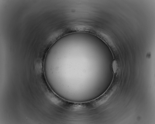 X0000101400453200807141201