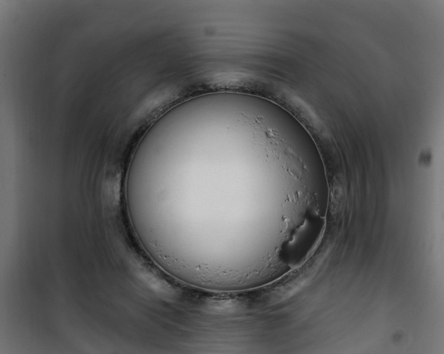 X0000101400454200807141201