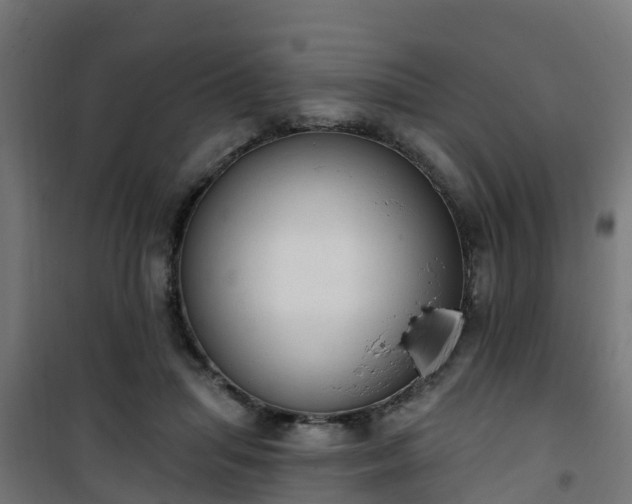 X0000101400455200807141201