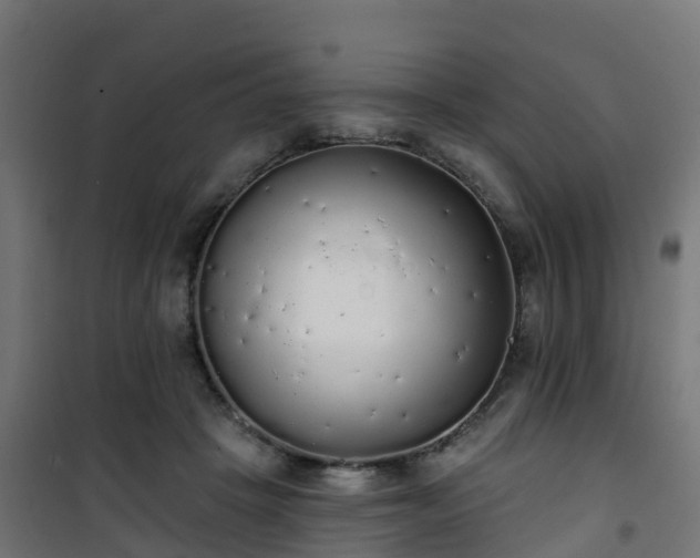 X0000101400457200807141201