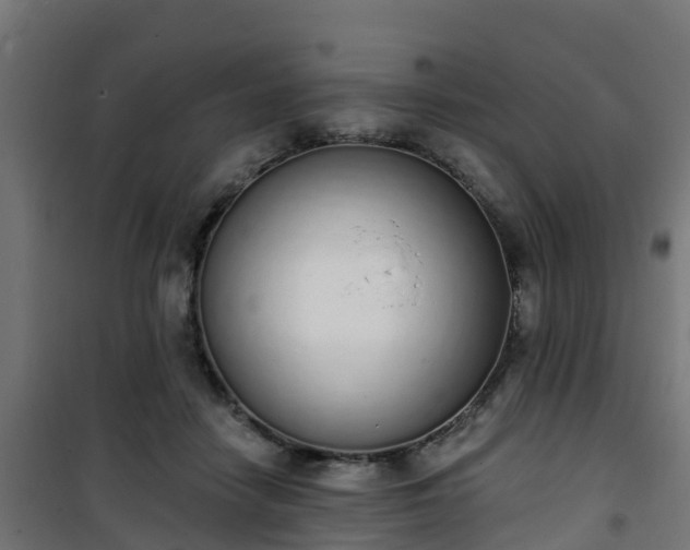 X0000101400458200807141201