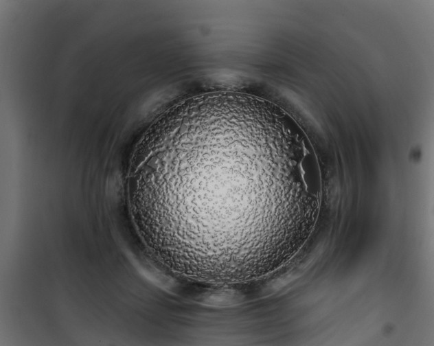 X0000101400459200807141201