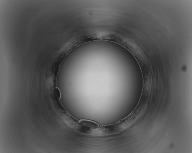 X0000101400461200807141201