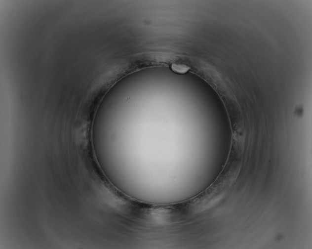 X0000101400462200807141201