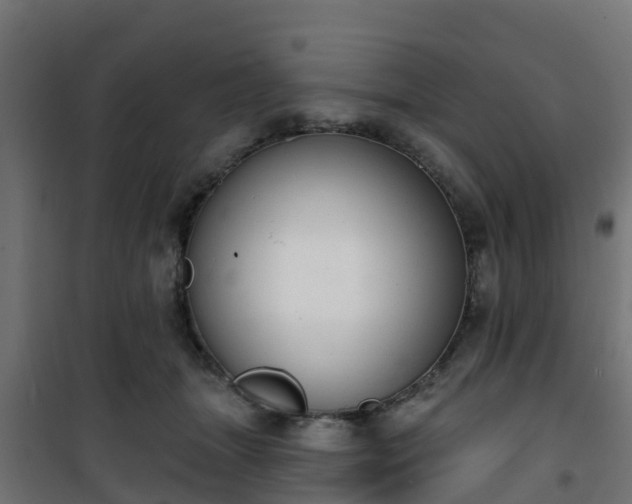 X0000101400463200807141201