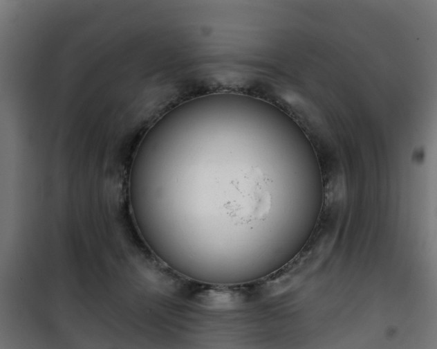 X0000101400464200807141201