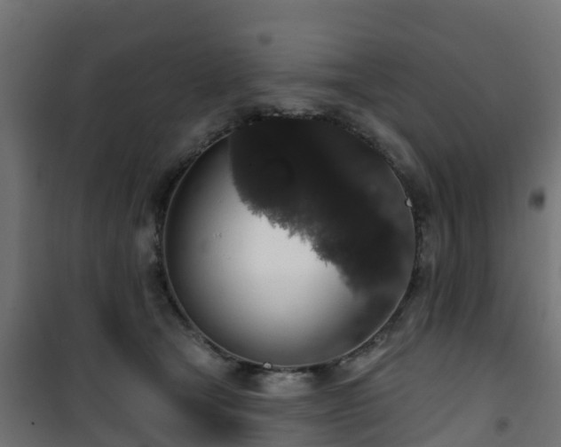 X0000101400465200807141201