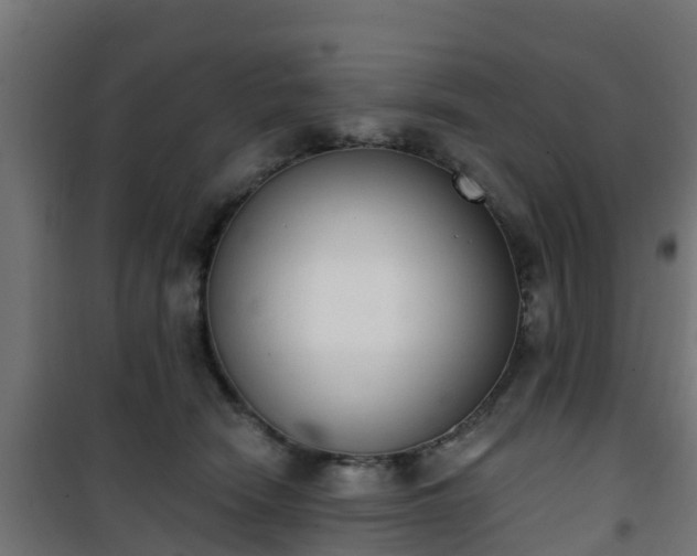 X0000101400466200807141201