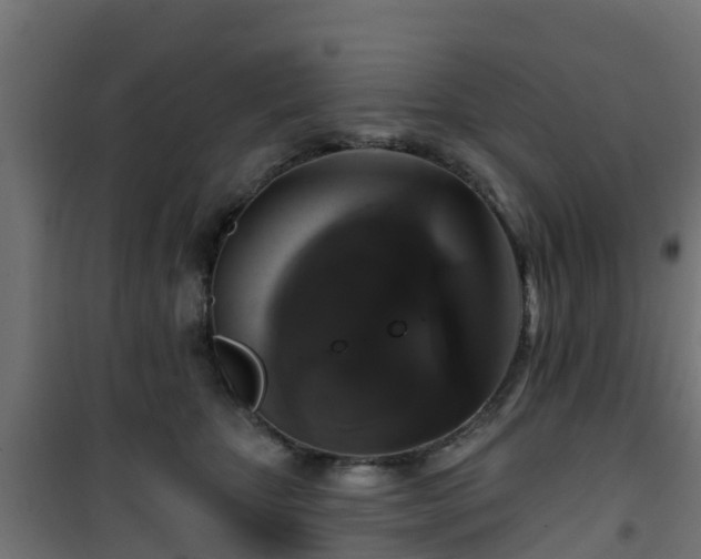 X0000101400467200807141201