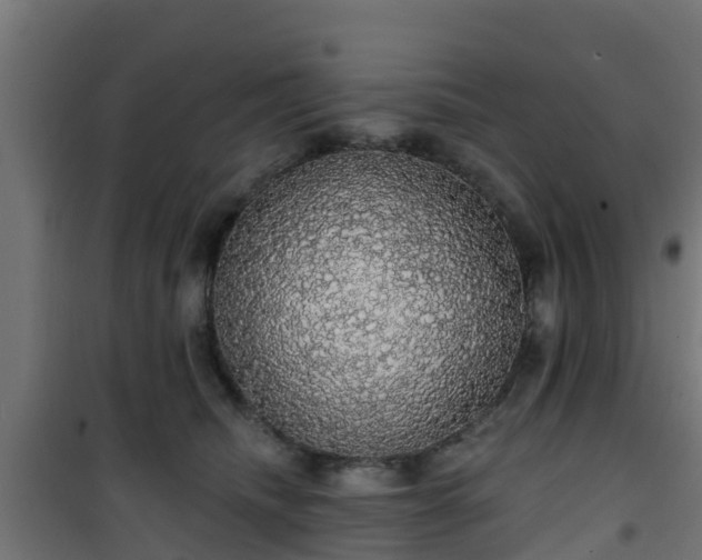 X0000101400468200807141201