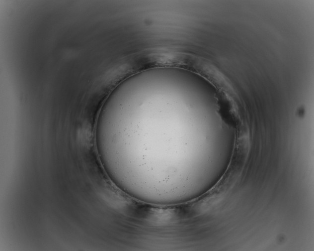 X0000101400469200807141201