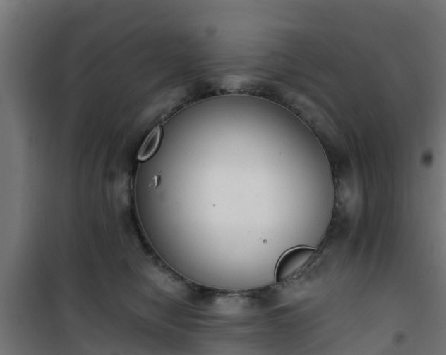 X0000101400470200807141201