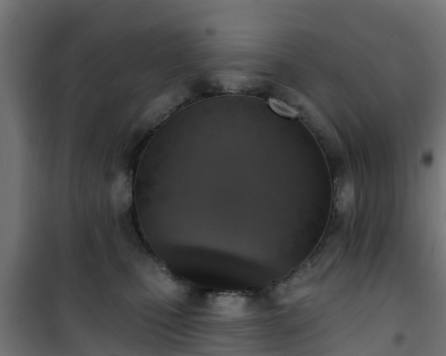 X0000101400471200807141201