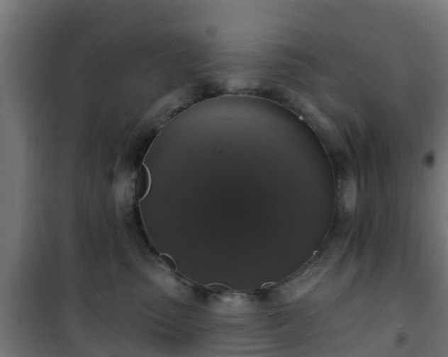 X0000101400475200807141201