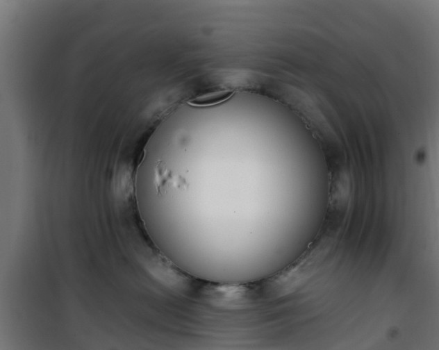 X0000101400478200807141201