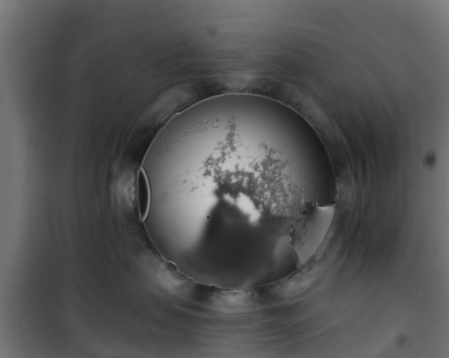 X0000101400479200807141201