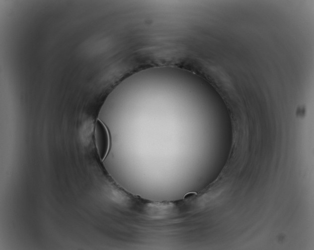 X0000101400480200807141201