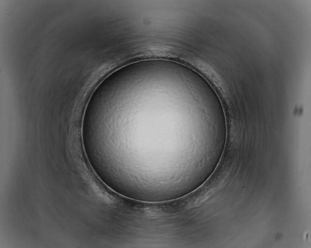 X0000101400481200807141200