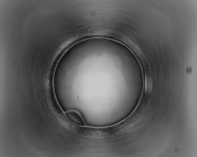 X0000101400483200807141200