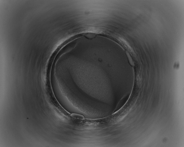 X0000101400484200807141200