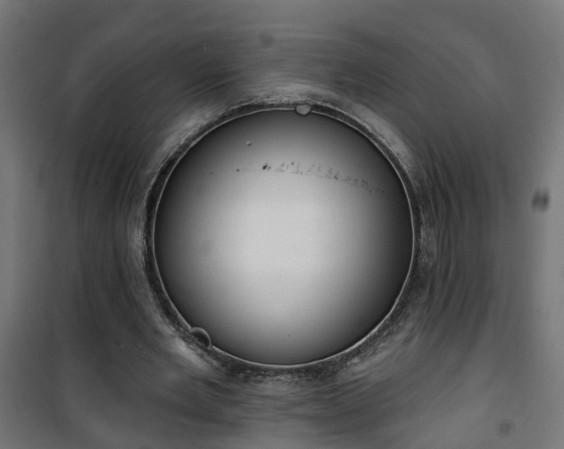 X0000101400485200807141200