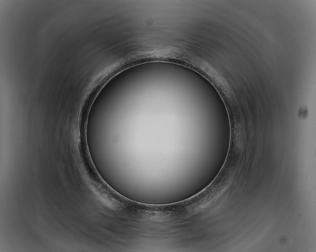 X0000101400486200807141200