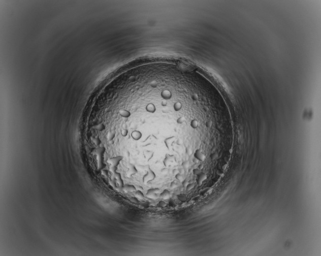 X0000101400487200807141200